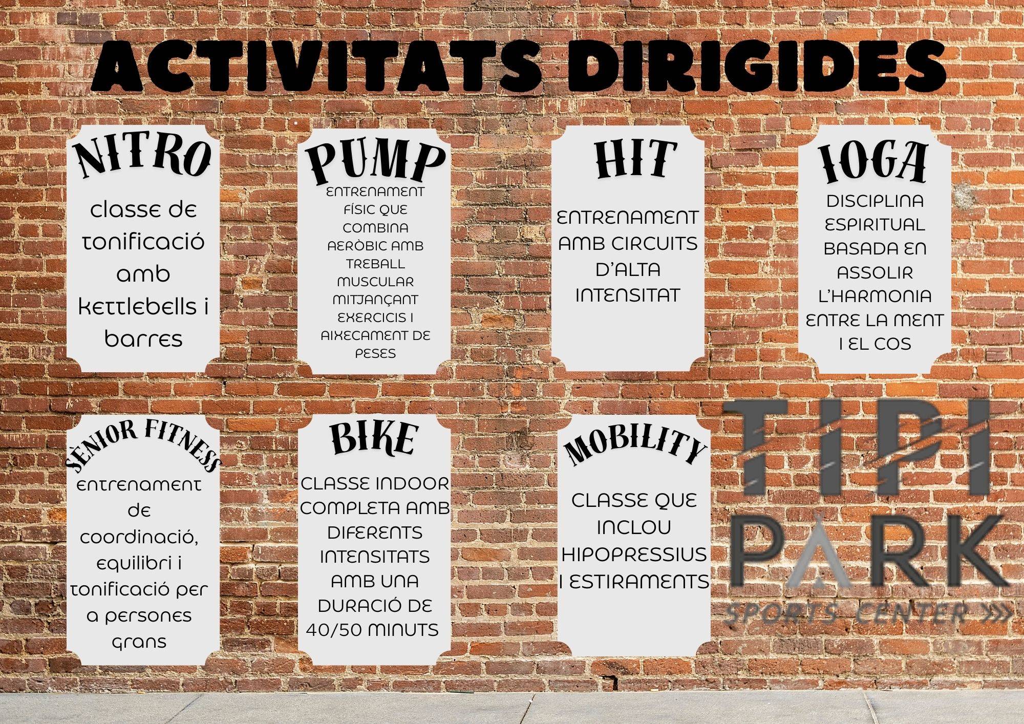 ACTIVITATS DIRIGIDES (A4 (horizontal)).jpg senior.jpg